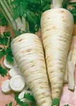 Насіння Петрушка Коренева вагова 1 кг