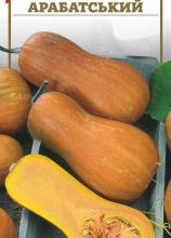 Гарбуз Арабатський 2 г