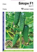 Огірок Бйорн 10 н