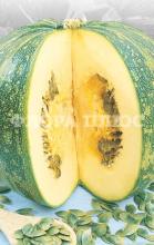 Насіння Гарбуз Голонасінний на вагу 1кг