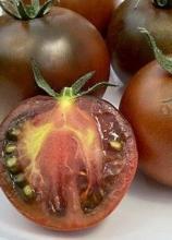 Насіння Томат Чорний принц ваговий 1кг