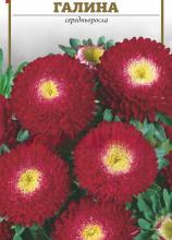 Квіти Айстра Галина 0,2 г