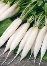 Насіння Редиска Льодяна бурулька вагова 1 кг