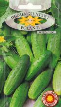 Огірок Полан F1