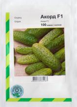 Огірок Аккорд 100 н