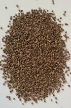 Буряк столовий Бичача кров ваговий 1 кг