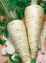 Насіння Петрушка Коренева вагова 1 кг