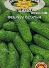 Огірок Андрус F1, 5 г