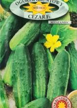 Огірок Цезар F1, 5 г