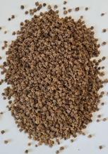 Буряк столовий Бордо ваговий 1 кг