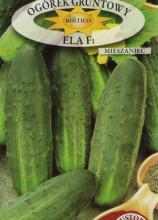 Огірок Ела F1, 5 г