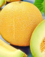 Насіння Диня Тітовка вагова 1 кг