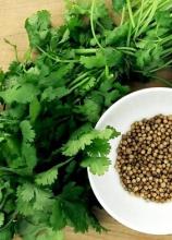 Насіння Коріандр ваговий 1 кг