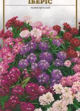 Квіти Іберіс 0,3г