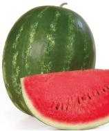 Насіння Кавун Карістан ваговий 1 кг