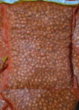 Цибуля саджанка Штутті кругл. (фр.2) 1кг