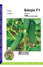 Огірок Бйорн 100 н
