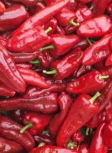 Насіння Перець солодкий Слонове вухо ваговий 1 кг