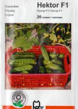 Огірок Гектор 20 н