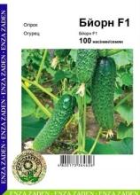 Огірок Бйорн 100 н