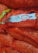 Цибуля саджанка Ексібішн довга (фр. 2) 1кг