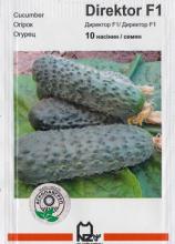 Огірок Директор 10 н