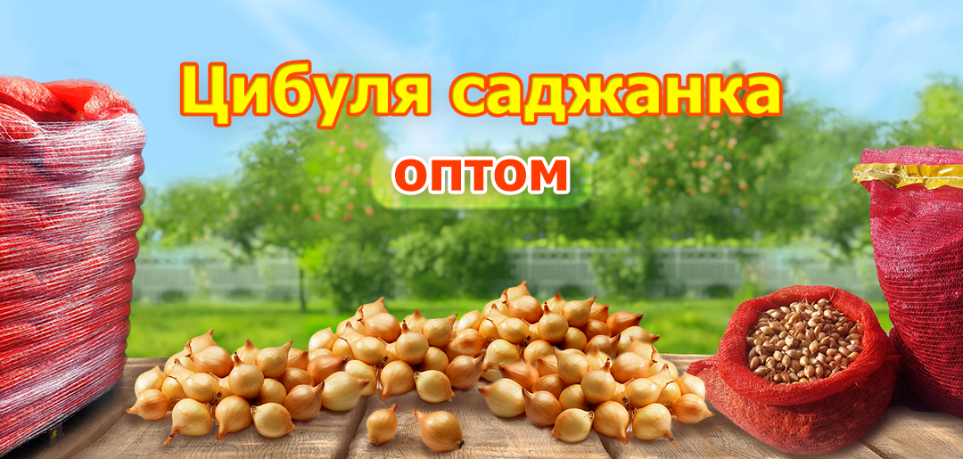a15a5c439d184c310ccf527b58b025c3.png