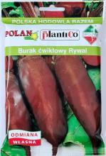 Буряк "SPOJNIA" Ріваль 50 г