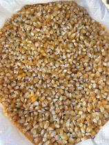 Насіння Кукурудза цукр. Голден Бантам 1 кг