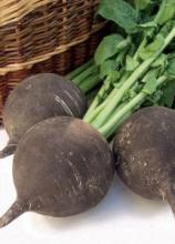 Насіння Редька Чорна зимова вагова 1 кг