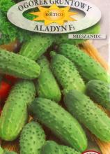 Огірок Аладін F1, 5 г