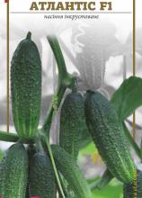 Огірок Атлантіс F1, 0,5 г