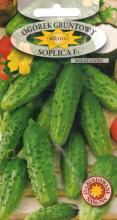 Огірок Сопліца F1, 5 г