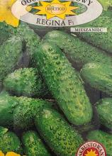 Огірок Регіна F1, 5 г