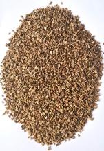 Насіння Морква Роте Різен вагова 1 кг