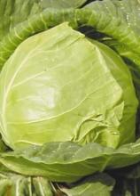 Насіння Капуста Золотий гектар вагова 1 кг