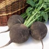 Насіння Редька Чорна зимова вагова 1 кг