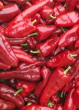 Насіння Перець солодкий Слонове вухо ваговий 1 кг