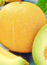 Насіння Диня Тітовка вагова 1 кг