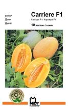 Диня Кар'єра 10 н