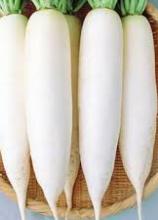 Насіння Редька Дайкон Клик Слона ваговий 1 кг
