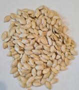 Насіння Кабачок Зебра ваговий 1 кг