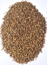 Насіння Морква Долянка вагова1 кг