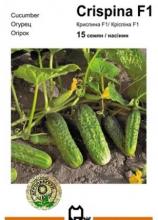 Огірок Кріспіна 15 н