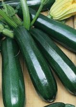 Насіння Кабачок Чорний красень ваговий 1 кг