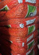 Цибуля саджанка Купідо довга (фр.2,5) 1кг