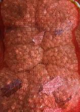 Цибуля саджанка Біла (фр.2) фасовка по 1кг