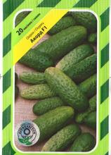 Огірок Аккорд 20 н
