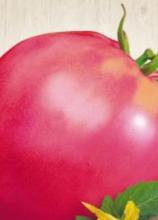 Насіння Томат Фатіма ваговий 1 кг