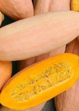 Насіння Гарбуз Рожевий банан ваговий 1 кг